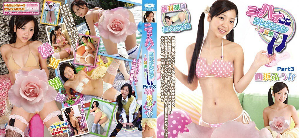 IMBD-171 Fuuka Nishihama - Kneehigh Collection Part 3 - FHD 1080p + Bonus